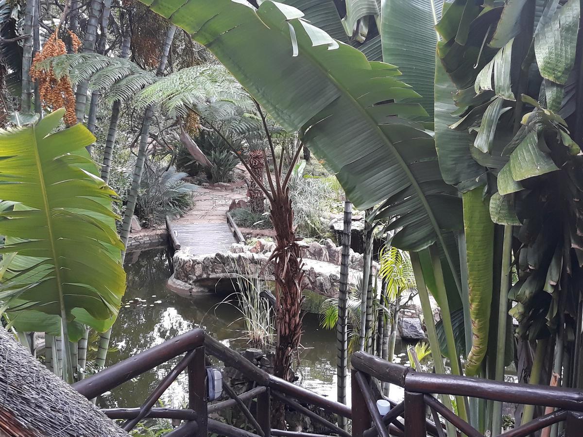 Hostal Moholoholo Ya Mati Kampersrus AH Exterior foto